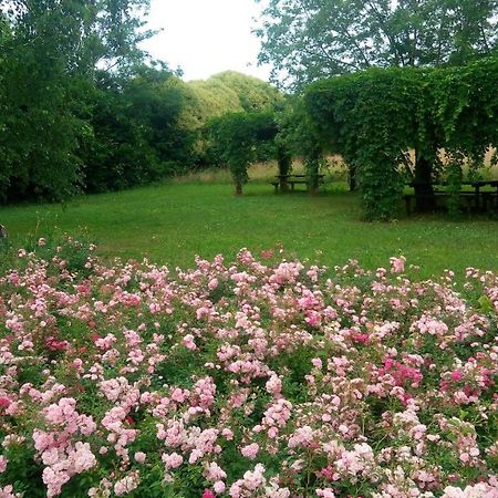 Agriturismo Il Magicorto Villa Cassola Buitenkant foto