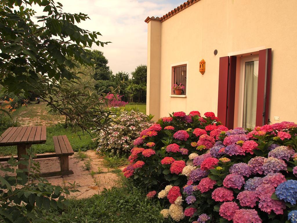 Agriturismo Il Magicorto Villa Cassola Kamer foto