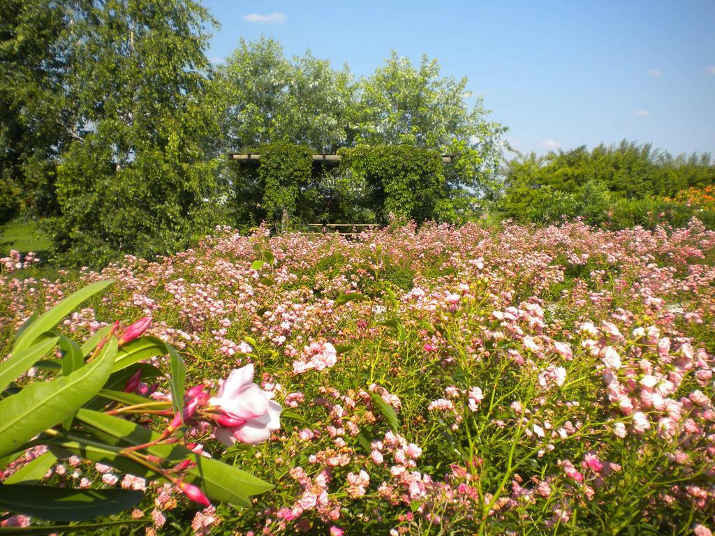 Agriturismo Il Magicorto Villa Cassola Buitenkant foto