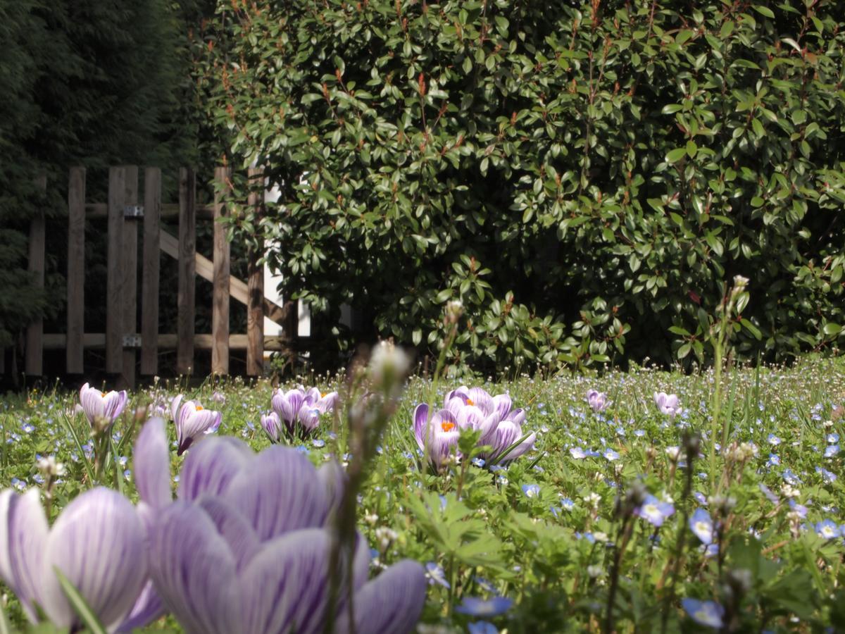 Agriturismo Il Magicorto Villa Cassola Buitenkant foto