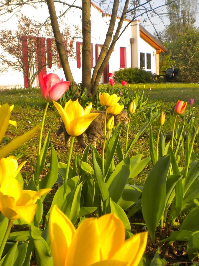 Agriturismo Il Magicorto Villa Cassola Buitenkant foto