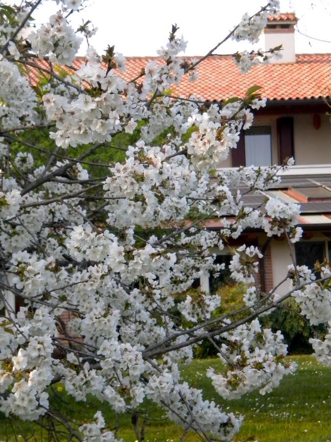 Agriturismo Il Magicorto Villa Cassola Buitenkant foto