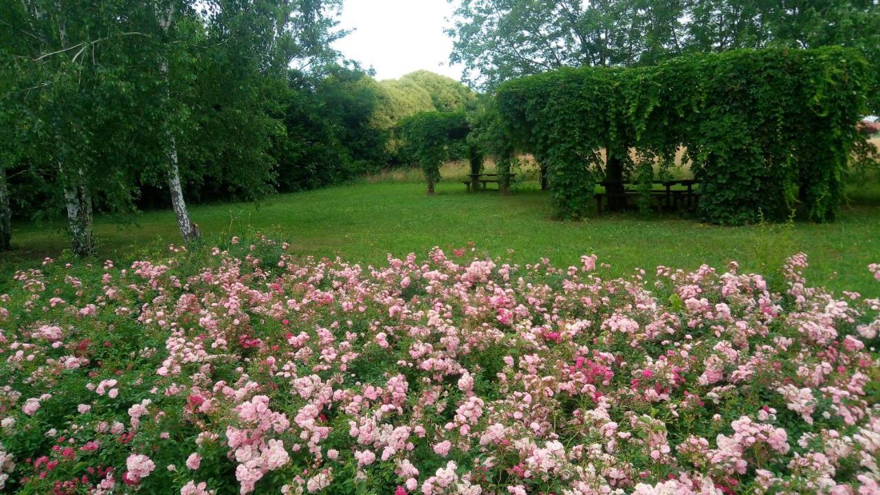 Agriturismo Il Magicorto Villa Cassola Buitenkant foto