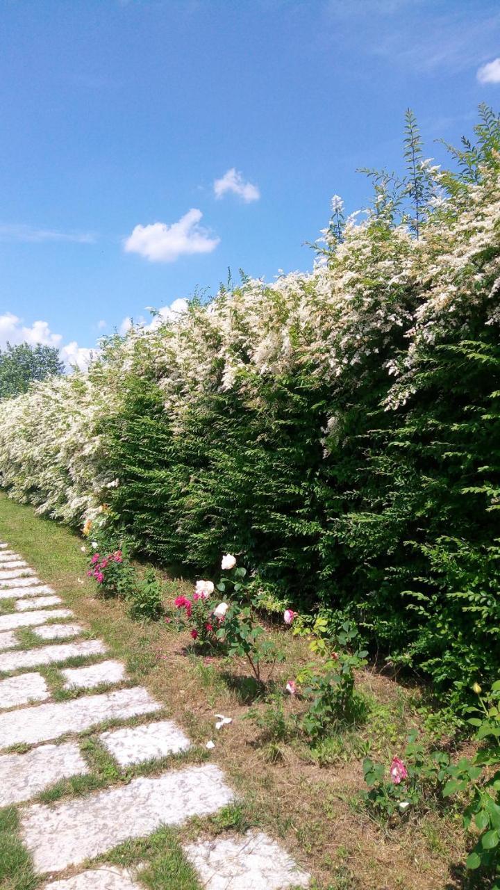 Agriturismo Il Magicorto Villa Cassola Buitenkant foto