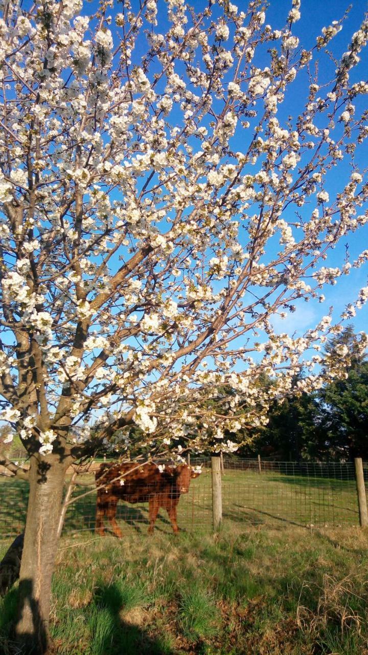 Agriturismo Il Magicorto Villa Cassola Buitenkant foto